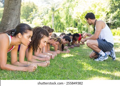 Fitness Group Planking In Park With Coach On A Sunny Day