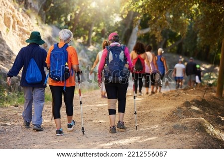Fitness, health and hiking with people in forest for workout and walking in nature for wellness, park and freedom. Summer, exercise and training with elderly friends or trekking group in woods
