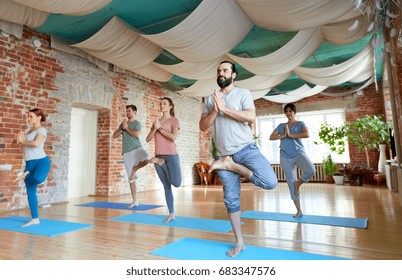 fitness, meditation and healthy lifestyle concept - group of people doing yoga in tree pose at studio