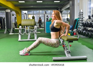 Fitness, sport, exercising lifestyle - Fit woman doing triceps dips at gym. Exercises with own body weight