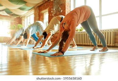 fitness, sport and healthy lifestyle concept - group of people doing yoga downward-facing dog pose on mats at studio - Powered by Shutterstock