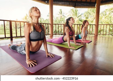 Fitness women practicing the cobra pose during yoga class in a health center. Fitness group doing cobra pose in row at the yoga class.