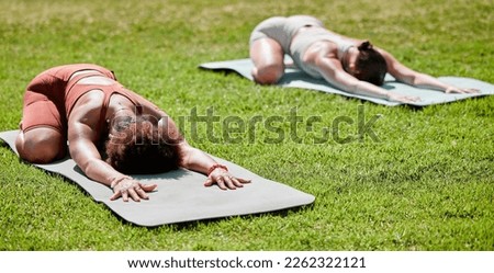 Fitness, yoga and wellness with woman friends stretching on a field of grass outdoor for spiritual health. Exercise, pilates or downward dog with a female yogi and friend training together outside