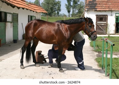 Fitting A Horse Shoe