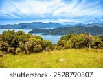 Fitzroy Bay, Marlborough Sounds, South Island, New Zealand, Oceania.
View from Croisilles-French Pass Road.