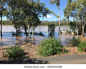 Fitzroy River (Rockhampton Queensland) In Flood