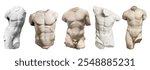 Five ancient male torso sculptures, showcasing muscular forms. Stone torsos highlight classical art, male anatomy, and ancient sculpture techniques. Antique sculptures isolated on white background.