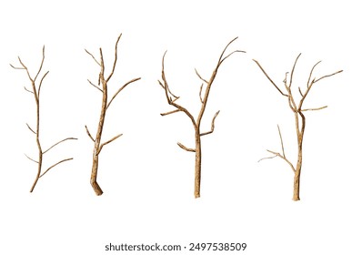 Five bare tree branches isolated on a black background. Winter, autumn, nature, spooky, halloween, death, season, forest, tree, wood, branch, dry, isolated, dark,texture, pattern, background. - Powered by Shutterstock