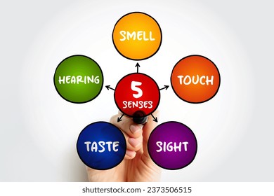 Five basic human senses: touch, sight, hearing, smell and taste,  mind map concept for presentations and reports