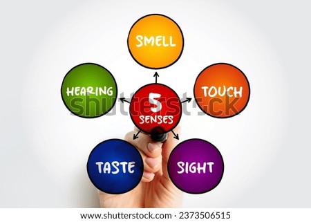 Five basic human senses: touch, sight, hearing, smell and taste,  mind map concept for presentations and reports