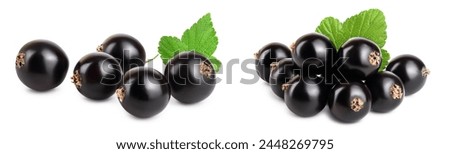 Five black currant with leaf isolated on white background