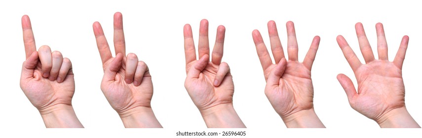 Five Counting Hands Isolated Over White Stock Photo 26596405 | Shutterstock