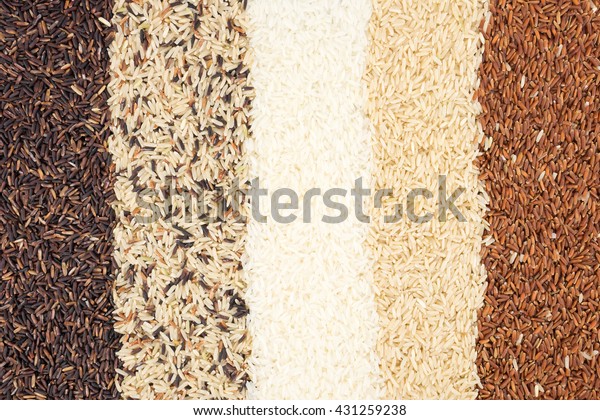Five Difference Types Rice Texture Background Stock Photo 431259238 ...