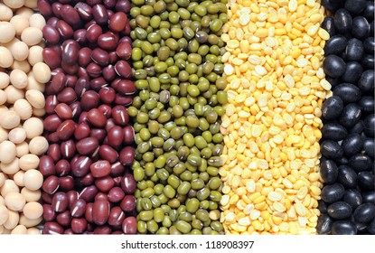 five different kinds of beans