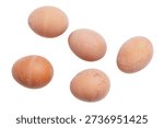 Five eggs are on a white background. They are all different sizes. One is the largest and the other four are smaller