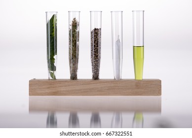 Five element of cannabis in test tubes, leaves, buds, seeds, joint, cannabis distilled oil