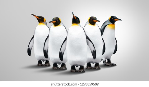 グレイの背景に5人の皇帝ペンギン ペンギンが続いている の写真素材 今すぐ編集