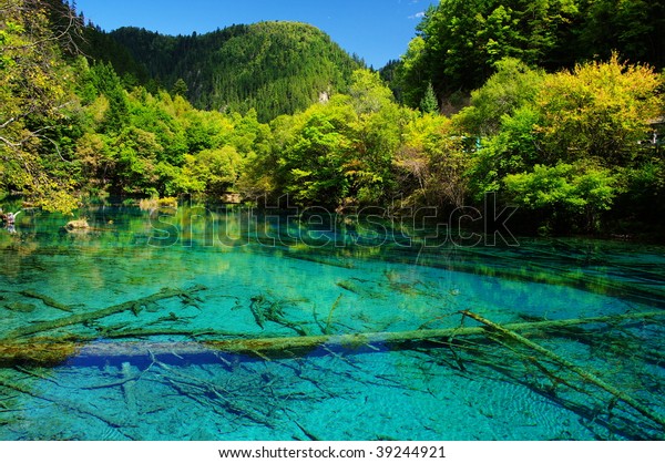 Five Flower Lake Jiuzhaigou Sichuan China Stock Photo Edit Now 39244921