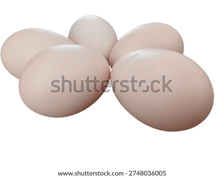 Five Fresh Eggs Isolated on White Background

Description:
Five natural eggs arranged on a clean white background. Minimal food photography concept showing fresh poultry eggs perfect for cooking, baking and nutrition themes.


#Eggs #WhiteBackground #FoodIngredient #HealthyFood #MinimalFood

Keywords:
