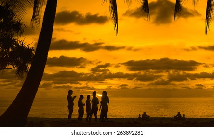 Five Friends Lesbian Girl Standing On Tropical Island Enjoying Glass Wine Vine Or Champagne At Sunset Sky With Dramatic Clouds Sun Rays On Background Party Team Group With Alcohol Drink Under Palm 