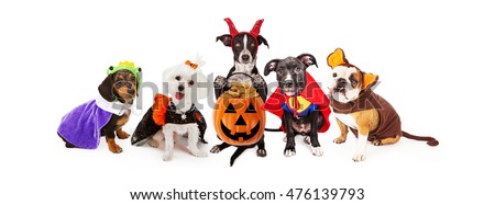 Five funny dogs wearing Halloween Costumes. Sized for horizontal banner or social media cover.
