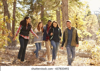 Five Happy Friends Enjoy A Hike In A Forest, California, USA