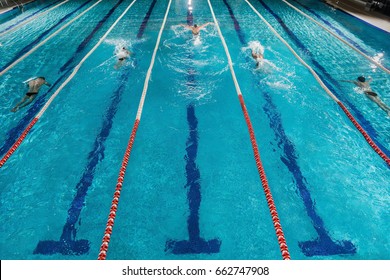 Five male swimmers doing the butterflies stroke while racing against each other in a swimming pool - Powered by Shutterstock