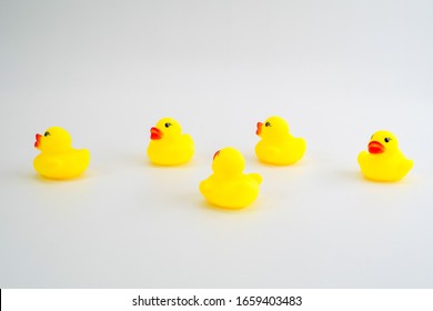 Five Mini Yellow Rubber Ducks In A Random Placed Group. Getting Your Ducks In A Row. Teamwork