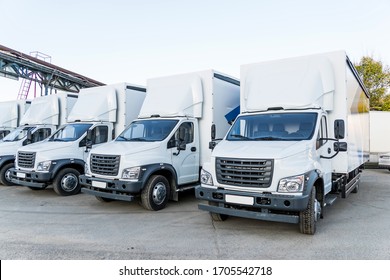 Five new white trucks ready for departure are parked. Delivery or shipment of goods in a conceptual manner.