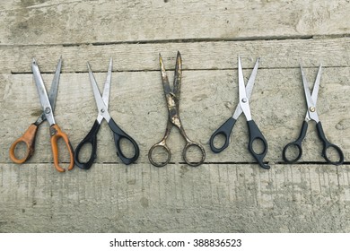 Five old scissors smeared on a wooden surface in cement