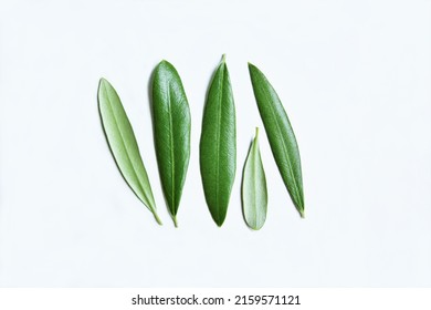 Five olive leave different size front and backside. photo isolate on white background top view copy space  - Powered by Shutterstock