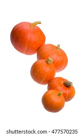 five orange fall pumpkins on white background isolated
