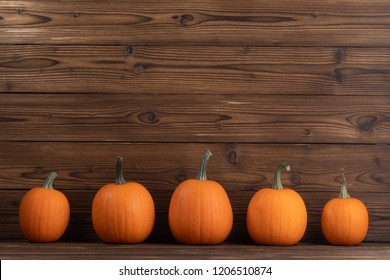 Pumpkin #5
