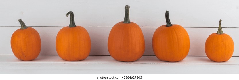 Five pumpkins of the same kind on white wooden background with copy space for text - Shutterstock ID 2364629305
