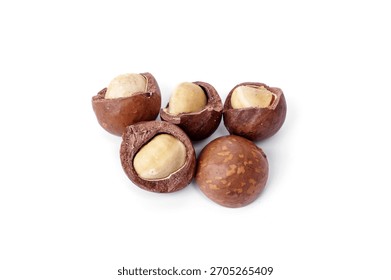 Five Roasted Macadamia nuts with cracked shells food for pets, birds and rodents guinea pigs, hamsters, squirrels, or any grain-eating pet isolated on white background.