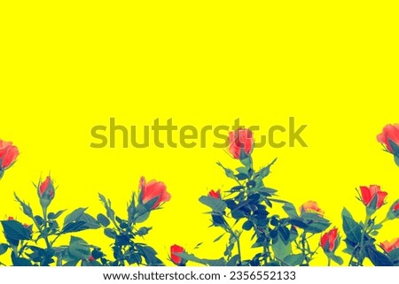 Similar – rote Blumen an gelber Wand, portugalisch