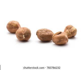 Five shelled hazelnuts isolated on white background