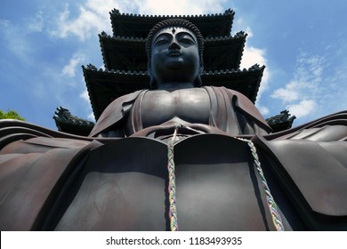 Five stories and Buddha in Japan（大仏と五重塔）