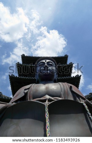 Five stories and Buddha in Japan（大仏と五重塔） 商業照片 © 