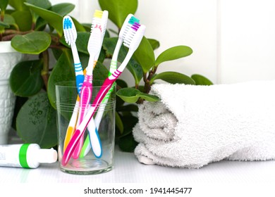 Five Toothbrushes In A Glass Cup Mouthwash A Tube Of Toothpaste And A Rolled Up Towel On The Dressing Table Against A Backdrop Of Green Foliage. High Quality Photo