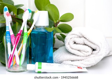 Five Toothbrushes In A Glass Cup Mouthwash A Tube Of Toothpaste And A Rolled Up Towel On The Dressing Table Against A Backdrop Of Green Foliage. High Quality Photo