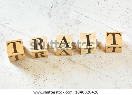 Five wooden cubes with word TRAIT on white stone like board, view from above