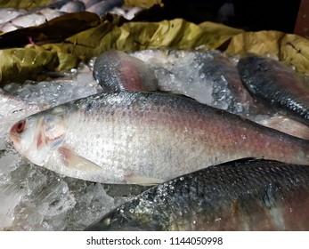 25 Five spot herring Images, Stock Photos & Vectors | Shutterstock