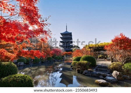 Five-story pagoda and garden with autumn leaves at Toji temple in Kyoto, Japan