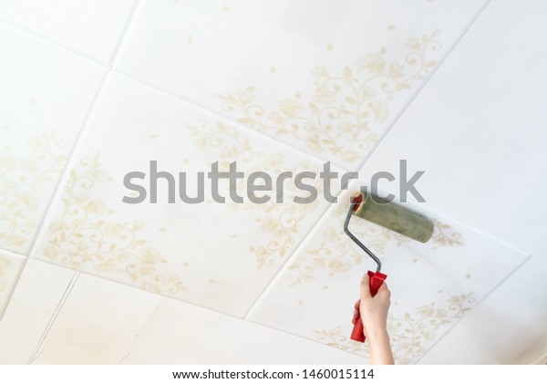 Fixing Styrofoam Ceiling Tiles Roller Home Stock Photo Edit