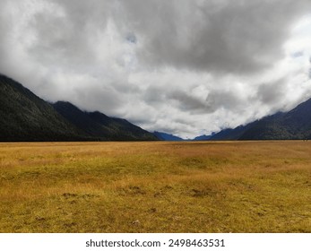 Fjord Land National Park Mountain Ranges, cloudy sky, yellow grass, cloud covered mountains, grass and plant covered hills, picturesque natural environment, vast nature landscape, rocky mountains - Powered by Shutterstock