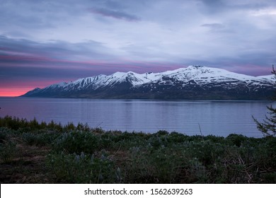 Eyjafjörður Fjord In Northern Iceland. The Setting Sun Putting Off A Beautiful Pink Glow In The Cloudy Sky. Dense Brush Makes Up The Foreground