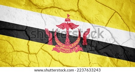 Flag of Brunei. Bruneian symbol. Flag on the background of dry cracked earth. Brunei flag with drought concept