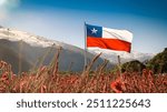 Flag of Chile, bandera chilena en las montañas