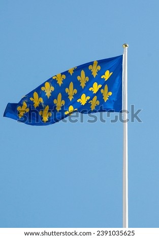 Flag with fleur-de-lys, royal emblem